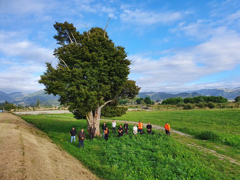 Motueka Stopbanks Blessing copy